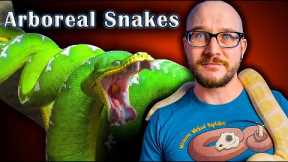 Top 5 Arboreal Snakes That Make GREAT Pets!