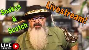 October Snakes & Scotch (Spooky) Livestream!