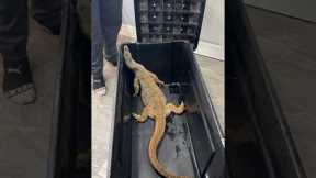 My new Argus Monitor!