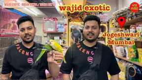 wajid exotic new update video exotic birds available #exotic #birds #conure #parrot #lovebirds 