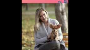 Cute Puppies 😍- Puppy & Dog Training Tips Ep.66 #shorts