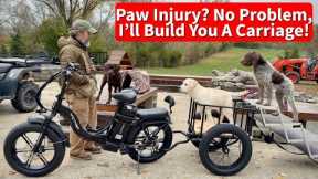 Puppy Pad Injury? No Problem, I'll build him a carriage!