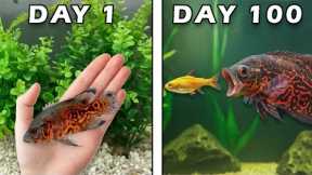 Raising a Tiger Oscar for 100 Days