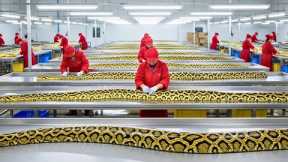 Inside the PYTHON SKIN Factory: How GIANT Snakes Become $10,000 Handbags | BILLION DOLLAR INDUSTRY