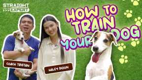 Straight From The Expert: How to Train Your Dog (Part 1)