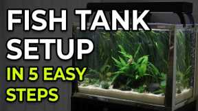 Setting Up Your First Fish Tank? WATCH THIS First!
