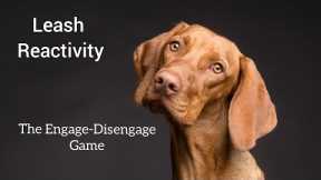 The Engage-Disengage Game for Dogs