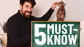 The 5 Tricks Every Cat Needs to Learn