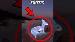 TOP 5 MOST EXOTIC PETS PEOPLE ACTUALLY OWN! #shorts #animals