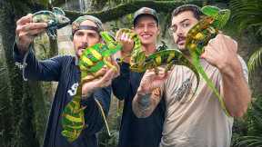 CATCHING EXOTIC WILD LIZARDS IN FLORIDA!