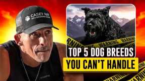 Top 5 Dog Breeds That Will Break You Before They Obey