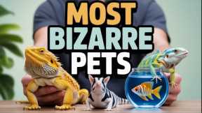 Top 12 Exotic Pets You Can Actually Own | Care Tips, Diet, and Setup Explained