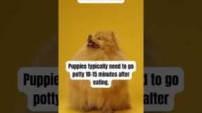 Potty training Tips  #puppy #assistancedogtraining #yourdog #dogtrainingfundamentals #doglover