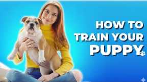 How to train your puppy | Dogs tips and tricks | Animals Goofy