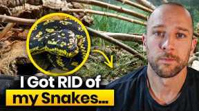 I got rid of my snakes - They didn’t pay rent
