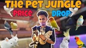 Price Drop at The Pet Jungle | Get Exotic Pets in Budget !