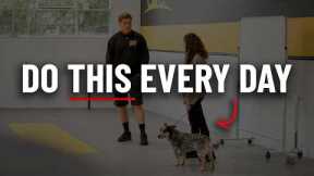 Dog Training Is Easy - If You Do This One Thing