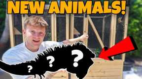 BUYING NEW EXOTIC ANIMALS!