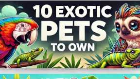 Top 10 Best Exotic Pets for Your Home: Unique and Fascinating Companions
