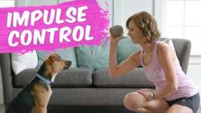 Teach Your Puppy Impulse Control: Impulse Training Drills For Your Dog