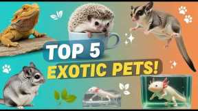 Top 5 Exotic Pets That Will SHOCK You