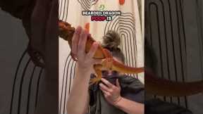 I just woke up here😑 Frank will throw a tantrum if I don’t let him out to 💩🚽🧻••••••••••••••