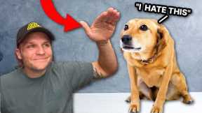 7 Ways You’re Hurting Your Dog Without Realizing!