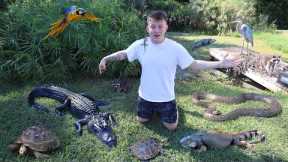 THE CRAZIEST BACKYARD REPTILE ZOO!