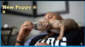 New puppy What should we name her?