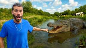 I FOUND A Camian In My COW POND!