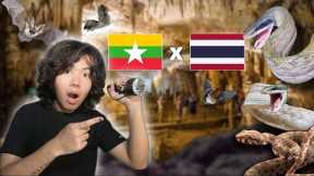 Finding SNAKES in Thailand - Myanmar BORDER | Herping vlog ep.16 🇹🇭 🇲🇲 🐍