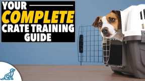 EVERYTHING You Need To Know Crate Training Plan