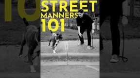 How to teach your dog not to enter the street without your permission.  #dogtraining #puppytraining