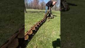 Taking My 20 Foot Python To The Park