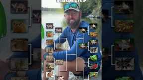 What Is The Best Exotic Pet?