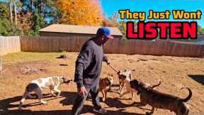 Dog Training Essential: New Dog Owners Need To Hear This