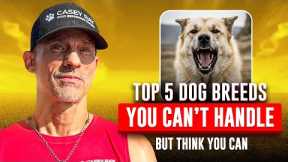 Top 5 Dog Breeds You Can’t Handle (But Think You Can)