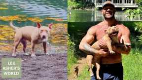 Happy Matilda Monday! She went beast mode on this beautiful long walk | Lee Asher