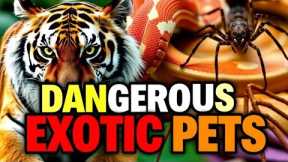 The Dangerous Exotic Pet