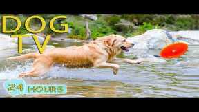 DOG TV: Videos Entertain for Dogs to Watch Help Anti-Anxiety When Home Alone - Best Music for Dogs
