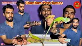 Exotic pets available in Mumbai Iguana, turtle, tarantula #exotic #pets #reptile #iguana #turtle
