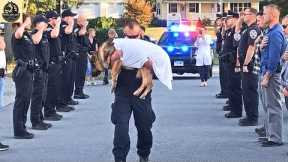 K9 Police Dogs Funeral Processions  Thank You for Your Service | top best dog training techniques