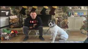 Live Aggressive Dog Training Q&A - Resource Guarding