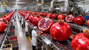 Inside a Modern Pomegranate Factory: From Raw Pomegranates to Bottled Premium Juice (Full Process)