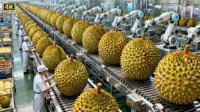 Inside a Modern Durian Factory: From Fresh Harvest to Durian Ice Cream Base (Full Process)