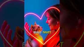 Cat Tricks and Training