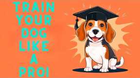 10 Must-Know Dog Tricks for Beginners (Make Training Fun and Easy!)