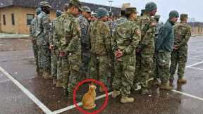 When Cats Are Being Total Little Humans 😂 Funny Cat Videos