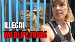 Inside Thailand’s Largest EXOTIC ANIMAL MARKET