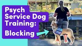 Psychiatric Service Dog Task Training: Blocking (create space/barrier in public)